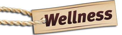 Wellness Oase, Pension, Wittgendorf - Sauna, Solarium, Kosmetikstudio, Whirlpool, Massage - Zittau, Oberlausitz, Dreiländereck, Zittauer Gebirge an der B99